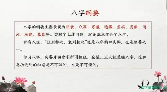 中华八卦魂 易学主任 八字预测 初级班24集+中级班24集 零基础入门到全面掌握八字预测