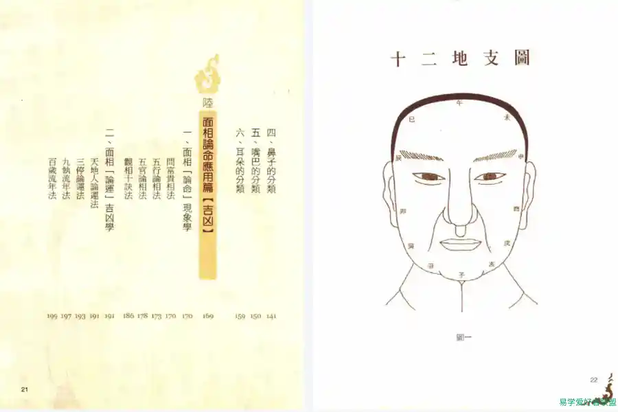 一看就懂大师面相学十二地支