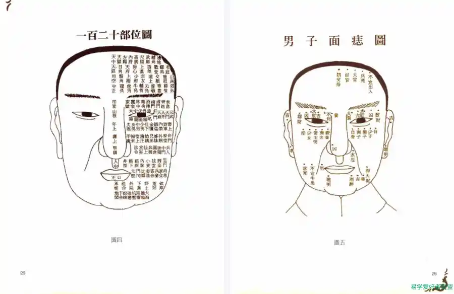 一看就懂大师面相学流月地支图