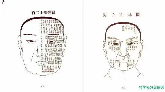 一看就懂大师面相学