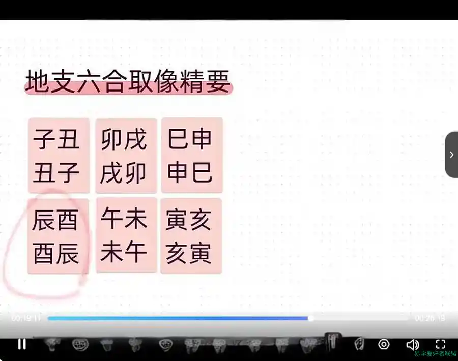 萤火虫《八字取象》20集地支六合取象的精要